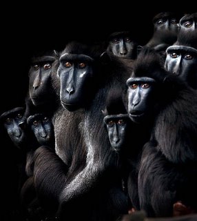 GRANDGOOD AUDIOCAST NO. 021106